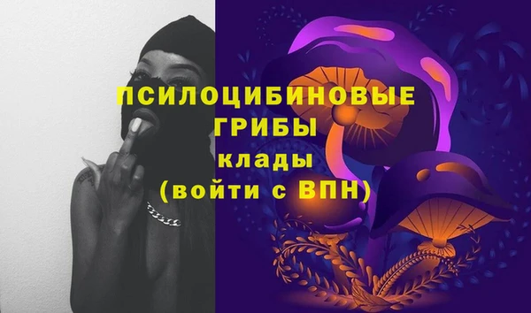 дживик Горно-Алтайск