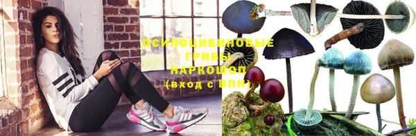 дживик Горно-Алтайск