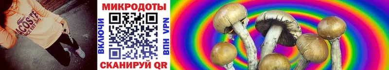 Галлюциногенные грибы ЛСД Гуково