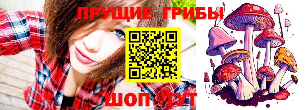 Псилоцибиновые грибы Cubensis  Псилоцибиновые грибы Magic Shrooms  Вход с VPN  Гуково 