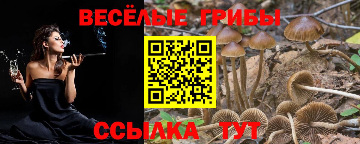 Галлюциногенные грибы прущие грибы Гуково