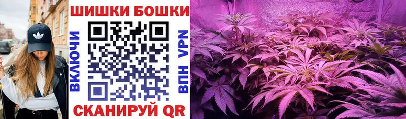 Каннабис сатива  Гуково 