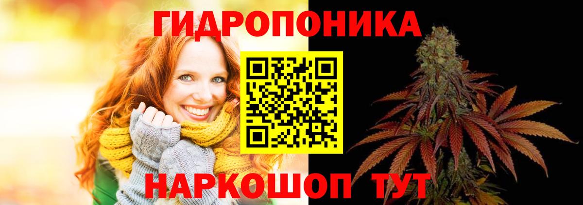 Марихуана планчик  Каннабис Bruce Banner  Вход с VPN  Гуково 